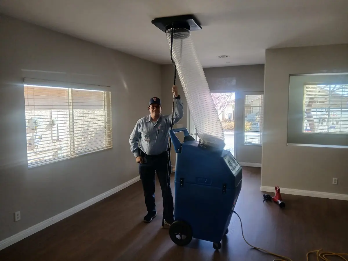 Professional Dryer Vent Cleaning work inside a Marshfield home